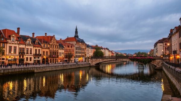 Top 5 des dératiseurs à Toulouse pour les ur gens